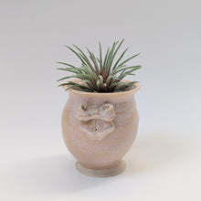 Load image into Gallery viewer, Coquette Bow Mini Planter Vase 0015
