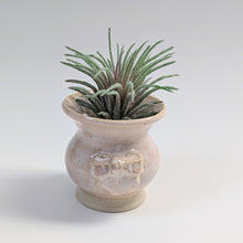 Load image into Gallery viewer, Coquette Bow Mini Planter Vase 0016
