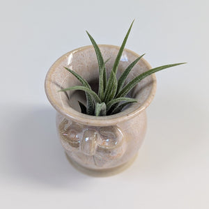 Coquette Bow Mini Planter Vase 0019