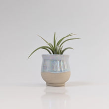 Load image into Gallery viewer, Blue Mother of Pearl Mini Planter Vase 0020
