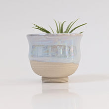 Load image into Gallery viewer, Blue Mother of Pearl Mini Planter Vase 0021
