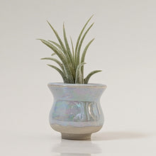 Load image into Gallery viewer, Blue Mother of Pearl Mini Planter Vase 0029
